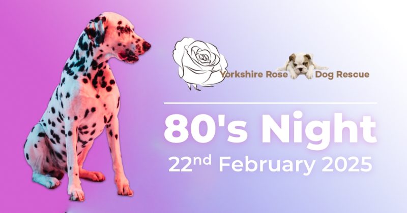80's night feature