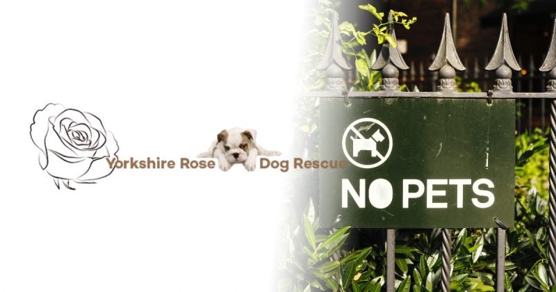 No Pet Policies